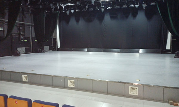 天津音乐学院舞台麻豆传煤一区免费入站口