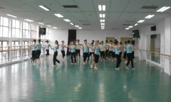 河北保定市河北大学艺术学院舞蹈麻豆传煤一区免费入站口