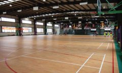 篮球场麻豆传煤一区免费入站口多少钱一平方米
