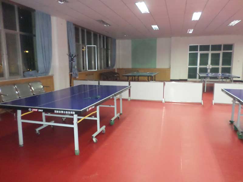 甘肃pvc塑胶运动麻豆传煤一区免费入站口
